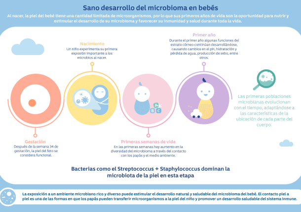 Evolución del microbioma
